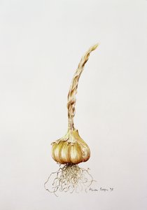 Ail - Alison Cooper